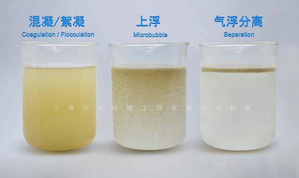 气浮效果实验图